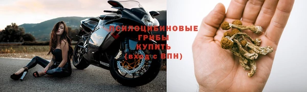 гидра Абдулино