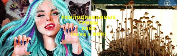a pvp Алзамай