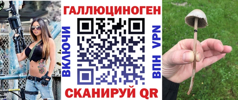 Псилоцибиновые грибы MAGIC MUSHROOMS  mega зеркало  Новоаннинский 